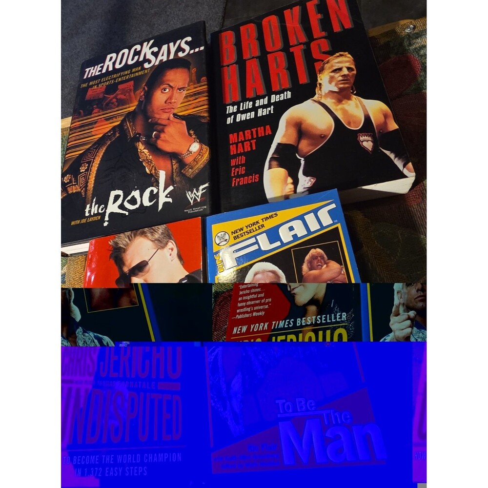 4 Wrestling Books The Rock Owen Hart Jericho Flair Biographies